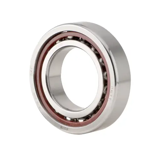 Spindle Bearing